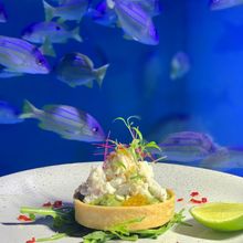 Watch fish swim by at the newly opened Dundee’s Restaurant at the Cairns Aquarium. 