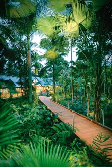 Baillie Lodges has added Silky Oaks Lodge to its portfolio of luxury lodges. 