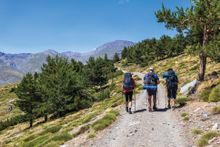 Sierra de Nieves