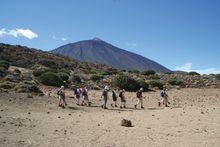 Tenerife IMG_2500.jpg