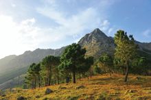 Sierra de Grazalema Natural Park.jpg