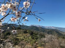 Sierra de las Nieves spain
