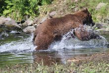 Alaska