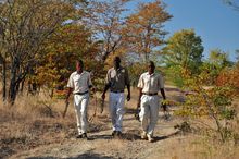 Victoria Falls Anti-Poaching Unit Scouts on Patrol