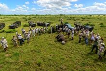 Relocating Rhinos with andBeyond and Great Plains Conservation