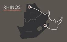 Relocating Rhinos with andBeyond and Great Plains Conservation