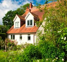 Marne Cottage garden