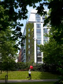 View from Green Park