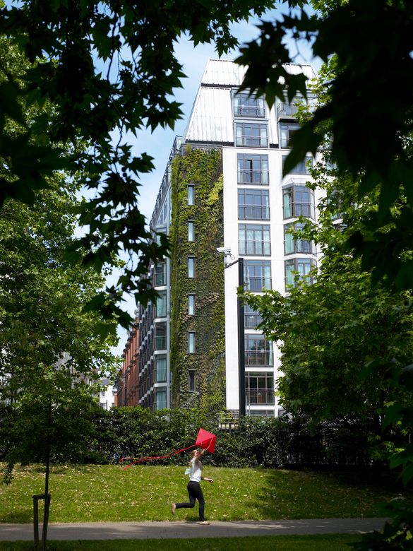 View from Green Park