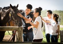 Candid laughter. Chinese couples with horses. Spicers Hidden Vale. Queensland Australia. Tourism and Events Queensland