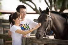 Chinese couple patting a horse. Spicers Hidden Vale. Queensland Australia. Tourism and Events Queensland
