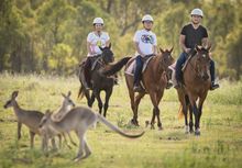 Chinese guests riding a horse in Australian bush. Landscape format. Spicers Hidden Vale. Queensland Australia. Tourism and Event