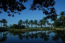 Lake 7th Bukit Jawi Golf Course Malaysia; 
