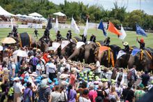 Anantara Elephant Polo buffet 