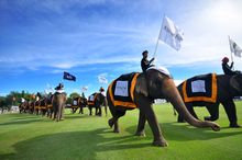 Anantara Elephant Polo Opening Parade