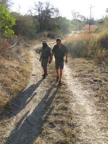 Field Guides tracking footprints