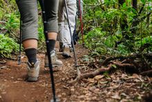 Tenerife Walking Festival