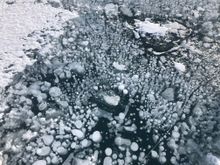 Ice bubbles at Abraham Lake