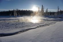 The Yukon