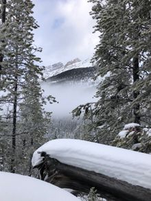 Views from snowshoeing on the Continental Divide near Banff 