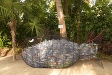 Kurumba Maldives - Earth Day 2019