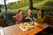 Styrian vinyard 