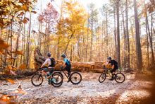 Umstead State Park