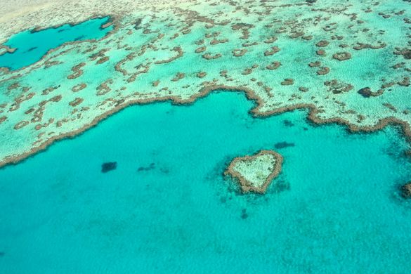 Heart Reef, The Whitsundays