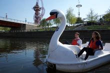 Swan Pedalos at Queen Elizabeth Olympic Park