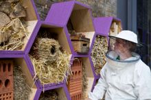 A 'b&b' hotel for city wildlife alongside the hotel's bee hives