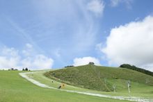 Grass skiing in Kannabe 