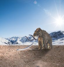 Wooden mammoth at the Stubai Glacier - Rendering