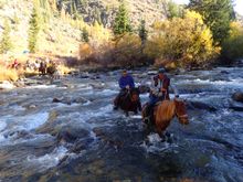 Crossing a River on Mongol Horses