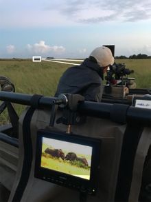 This experience includes a videographer in-vehicle to operate the cameras and monitors to enhance the safari viewing experience.