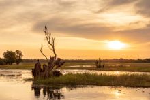 Sunset over the Yellow Water Billabong