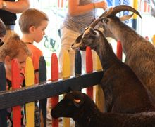 Dutchess County Fair