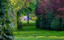 The Secret Garden at Blenheim Palace