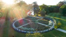 Aerial View of Rose Garden