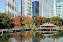 Hamarikyu Gardens Tokyo