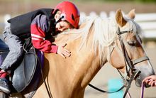 Borgo Pignano Horses