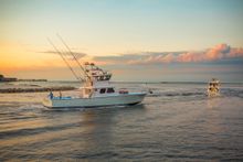 Known as “The World's Luckiest Fishing Village,” for decades Destin has been home to North America's largest fishing fleet, comprised of more than 140 vessels. 