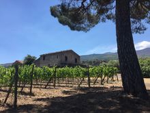 Planeta winery, Mount Etna