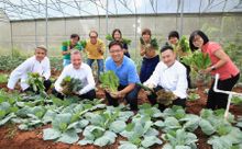 InterContinental Hong Kong Green Engage Team at the New Life Farm (Celebrating the hotel's EarthCheck Platinum Certification)