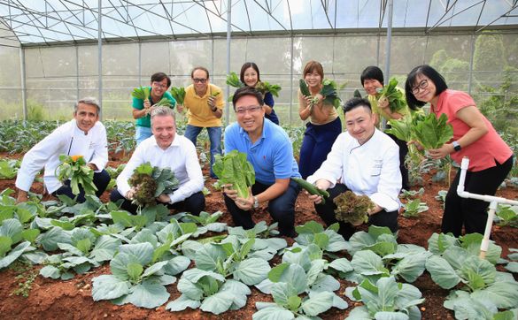 InterContinental Hong Kong Green Engage Team at the New Life Farm (Celebrating the hotel's EarthCheck Platinum Certification) InterContinental Hong Kong Green Engage Team at the New Life Farm (Celebrating the hotel's EarthCheck Platinum Certification)