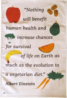 Albert Einstein vegetarianism quote tea towel from Radical Tea Towel - £12.99