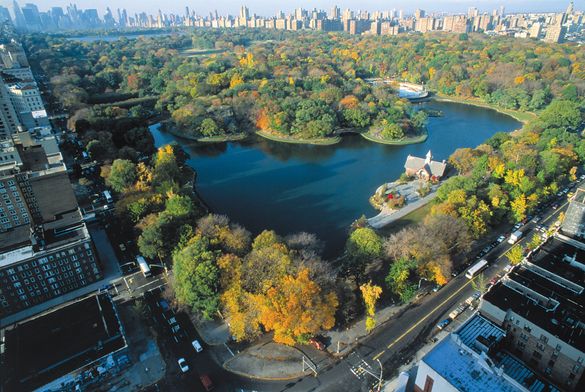 Central Park 
