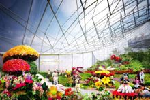 The Leaf Interior, Babs Asper Display House