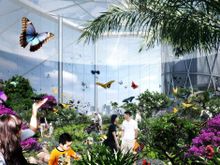 The Leaf interior, Shirley Richardson Butterfly Garden