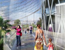 Butterfly Canopy Walk