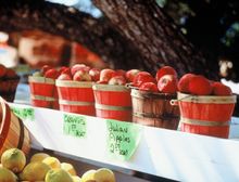 Popular Annual Julian Fall Apple Harvest.